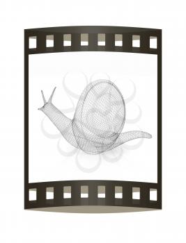 3d fantasy animal, snail on white background 