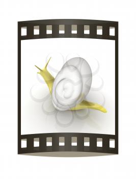 3d fantasy animal, snail on white background 