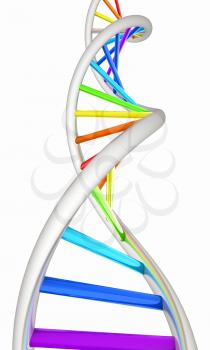 DNA structure model on white