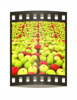 apples background