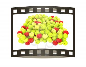 apples isolated on white