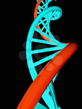 DNA structure model