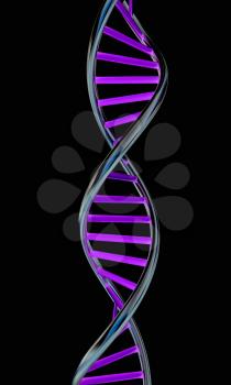 DNA structure model