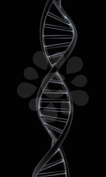 DNA structure model