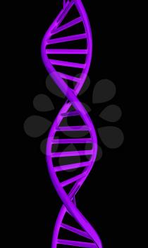 DNA structure model