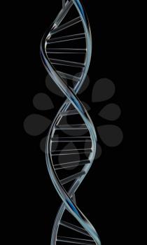 DNA structure model