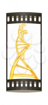 DNA structure model on white. The film strip