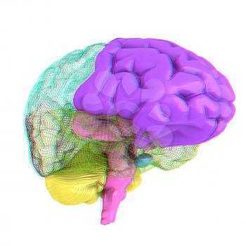 Creative concept of the human brain. 3D illustration. Anaglyph. View with red/cyan glasses to see in 3D.