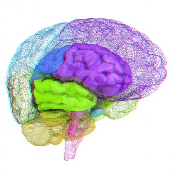 Creative concept of the human brain. 3D illustration. Anaglyph. View with red/cyan glasses to see in 3D.