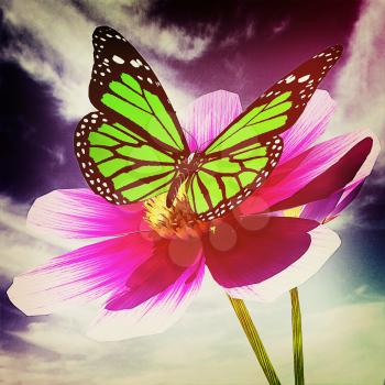 Beautiful Cosmos Flower and butterfly against the sky. 3D illustration. Vintage style.