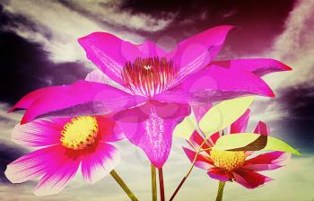 Beautiful Cosmos Flower against the sky. 3D illustration. Vintage style.