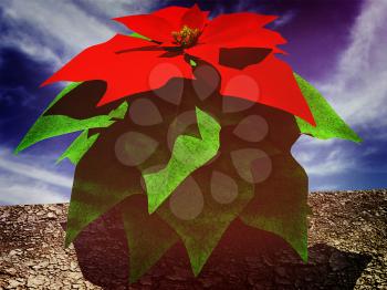 Beautiful poinsettia Flower against the sky. 3D illustration. Vintage style.