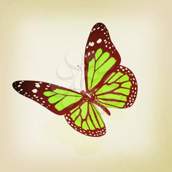 Butterfly on a white background. 3D illustration. Vintage style.