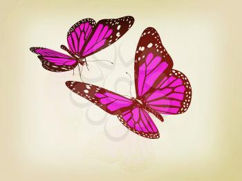 Butterfly on a white background. 3D illustration. Vintage style.