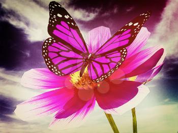 Beautiful Cosmos Flower and butterfly against the sky. 3D illustration. Vintage style.