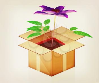 Clematis in a pot out of the box on a white background. 3D illustration. Vintage style.