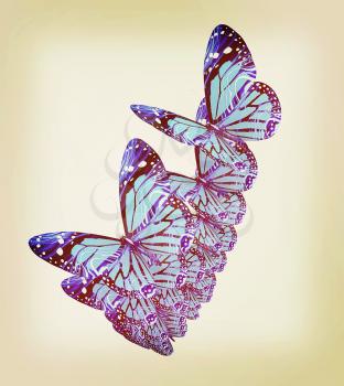 Butterflies on a white background. 3D illustration. Vintage style.