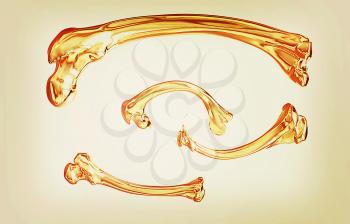 Set of gold bone on a white background. 3D illustration. Vintage style.