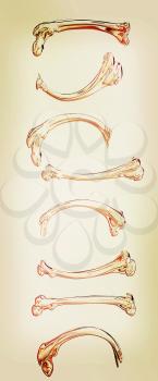 Set of metal bone on a white background. 3D illustration. Vintage style.