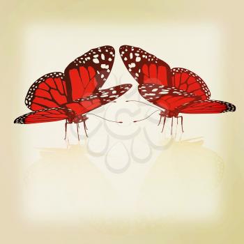 beauty butterflies. 3D illustration. Vintage style.