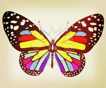 beauty butterfly. 3D illustration. Vintage style.