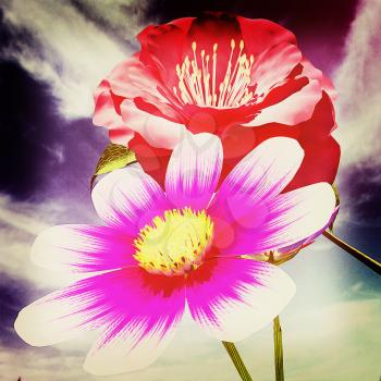 Beautiful Flower against the sky . 3D illustration. Vintage style.