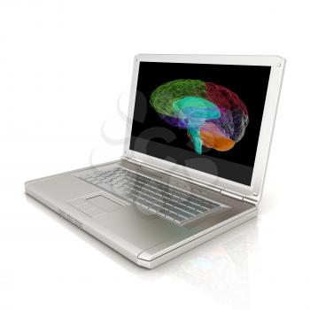 creative three-dimensional model of  human brain scan on a digital laptop. 3d render