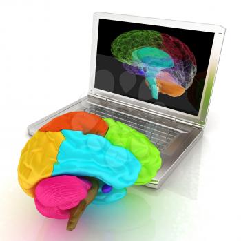 creative three-dimensional model of real human brain and scan on a digital laptop. 3d render