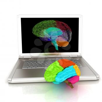 creative three-dimensional model of real human brain and scan on a digital laptop. 3d render