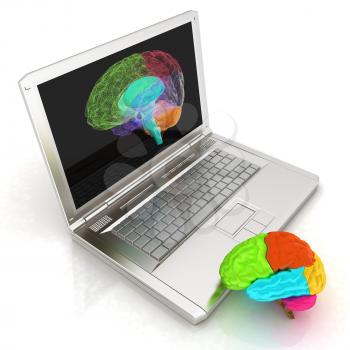 creative three-dimensional model of real human brain and scan on a digital laptop. 3d render