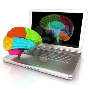 creative three-dimensional model of real human brain and scan on a digital laptop. 3d render