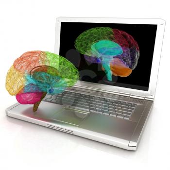 creative three-dimensional model of real human brain and scan on a digital laptop. 3d render