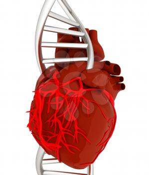 DNA and heart. 3d illustration