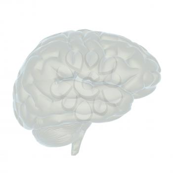 3D illustration of human brain