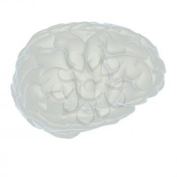 3D illustration of human brain