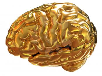 Gold brain. 3d render