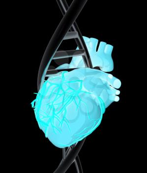 DNA and heart. 3d illustration