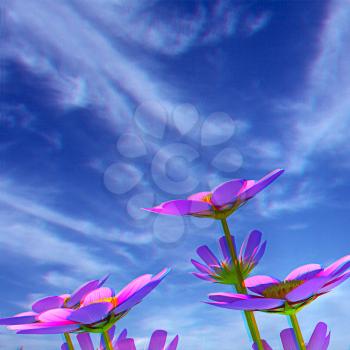 Beautiful Cosmos Flower against the sky. 3D illustration.. Anaglyph. View with red/cyan glasses to see in 3D.