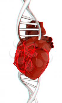 DNA and heart. 3d illustration. Anaglyph. View with red/cyan glasses to see in 3D.