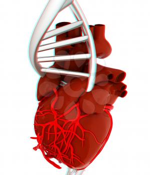 DNA and heart. 3d illustration. Anaglyph. View with red/cyan glasses to see in 3D.