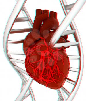 DNA and heart. 3d illustration. Anaglyph. View with red/cyan glasses to see in 3D.