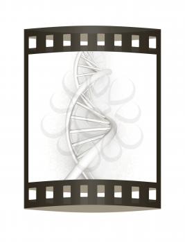 DNA structure model. 3d illustration. The film strip