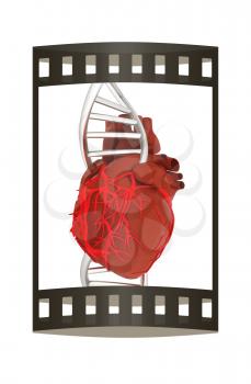 DNA and heart. 3d illustration. The film strip