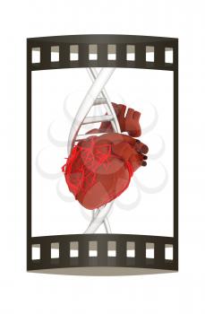 DNA and heart. 3d illustration. The film strip