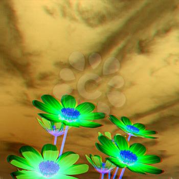 Beautiful Cosmos Flower against the sky. 3D illustration.. Anaglyph. View with red/cyan glasses to see in 3D.