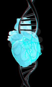 DNA and heart. 3d illustration. Anaglyph. View with red/cyan glasses to see in 3D.