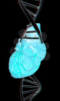 DNA and heart. 3d illustration. Anaglyph. View with red/cyan glasses to see in 3D.