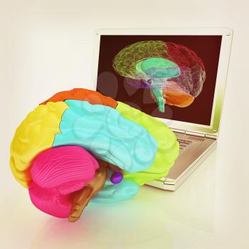 creative three-dimensional model of real human brain and scan on a digital laptop. 3d render