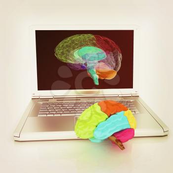 creative three-dimensional model of real human brain and scan on a digital laptop. 3d render