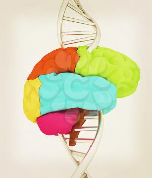 Brain and dna. 3d illustration